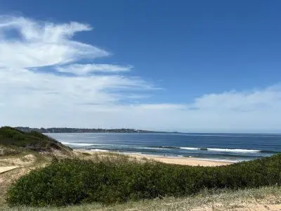 La Violeta - Tio Tom