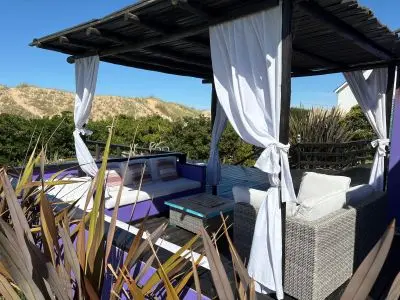 La Violeta - Tio Tom