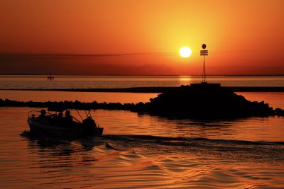 Paseos y Actividades Enoturismo Carmelo, Bodegas y Experiencias en Uruguay Carmelo