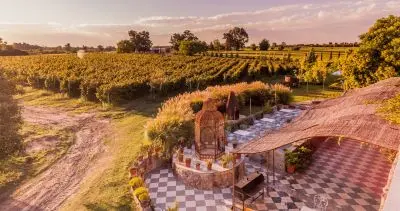 Passeio e Atividades Enoturismo Carmelo, Bodegas y Experiencias en Uruguay Carmelo