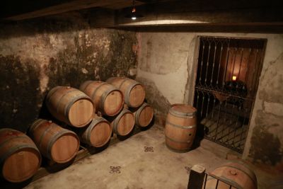 Paseos y Actividades Enoturismo Carmelo, Bodegas y Experiencias en Uruguay Carmelo