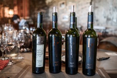 Paseos y Actividades Enoturismo Carmelo, Bodegas y Experiencias en Uruguay Carmelo