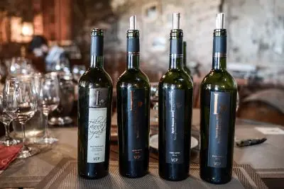 Passeio e Atividades Enoturismo Carmelo, Bodegas y Experiencias en Uruguay Carmelo