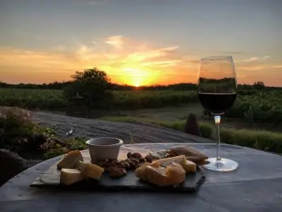Enoturismo Carmelo, Bodegas y Experiencias en Uruguay