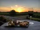 Enoturismo Carmelo, Bodegas y Experiencias en Uruguay