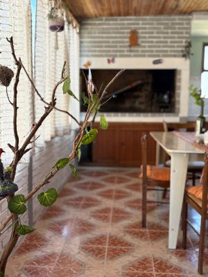 Doña Soledad - La Coronilla