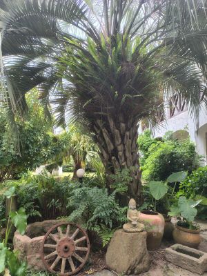 Hotel cuatro lunas hotel  Punta del Diablo