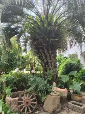 Hotel cuatro lunas hotel  Punta del Diablo