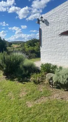 Arnonia - Marco de los reyes