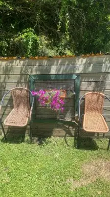 Arnonia - Marco de los reyes