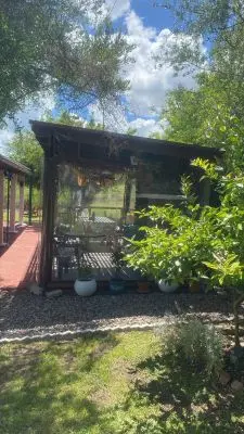 Arnonia - Marco de los reyes