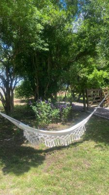 Arnonia - Marco de los reyes