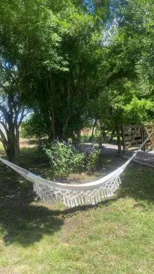 Arnonia - Marco de los reyes