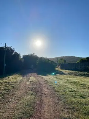 Arnonia - Marco de los reyes