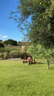 Arnonia - Marco de los reyes