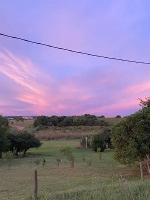 Arnonia - Marco de los reyes