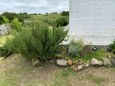 Arnonia - Marco de los reyes