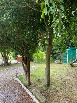 Arnonia - Marco de los reyes