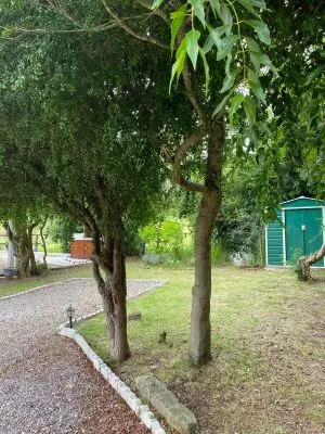 Arnonia - Marco de los reyes