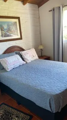 Arnonia - Marco de los reyes