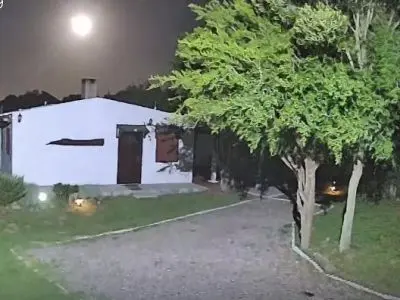 Arnonia - Marco de los reyes