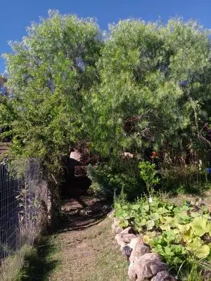 Hadas y Duendes - Villa Serrana