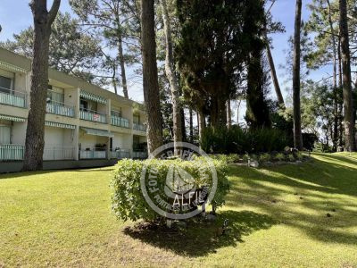 Arcobaleno Alfil 112 - Punta del Este