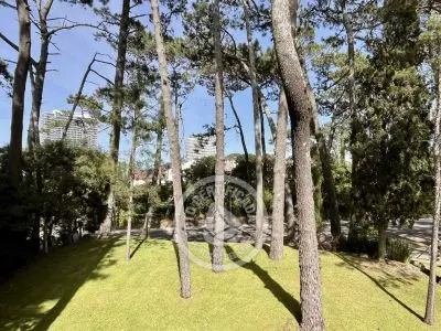 Arcobaleno Alfil 112 - Punta del Este