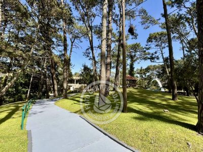 Arcobaleno Alfil 112 - Punta del Este