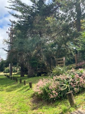 Casa Casa Alcala La Paloma