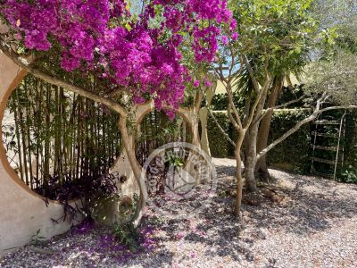 Posada Planeta Cuchitril - Georgicas - Punta del Diablo