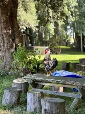 Estancia El Ceibo - Estancia Hostería Florida