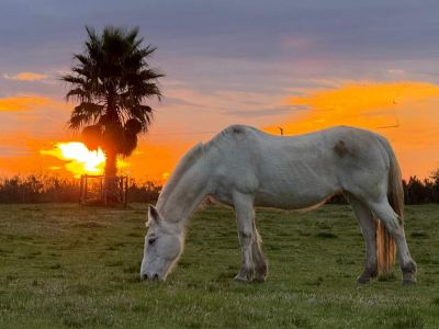 El Ceibo - Cuadruple - Estancia Hostería - Florida