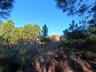 Terreno Republica Argentina S18