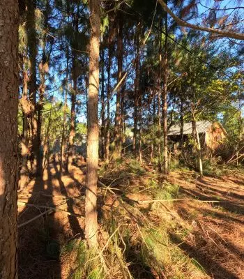 Terreno Republica Argentina S18