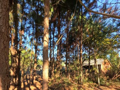 Republica Argentina Manzana 582 Solar 18