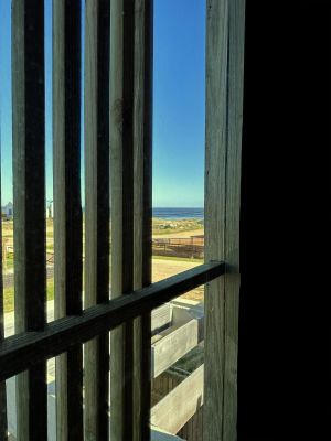 Cabito - Habitacion - La Paloma