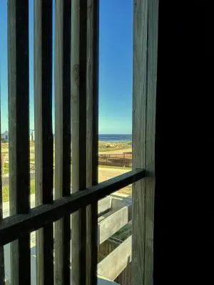 Cabito - Habitacion - La Paloma