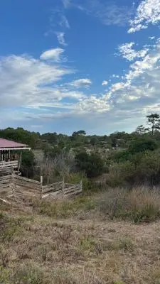 Lotes 3 terrenos en venta en La Viuda (Padron 620/621/622) Punta del Diablo