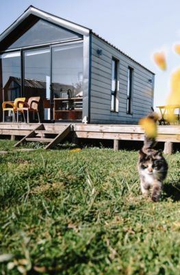 Houses|Cabins|Aptos|Villas... Villa Pancha Valle del Lunarejo