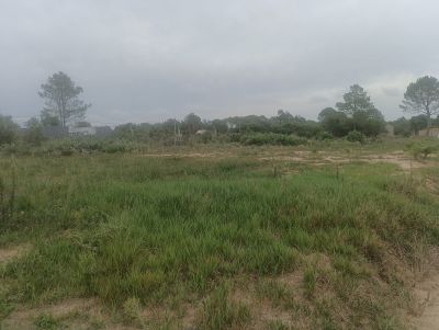 Lots Manz  13 s 19 .zina del camping Punta del Diablo