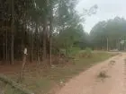 Lots Manz 87 s 6 zona de nosque de pino, zona Av .central  Punta del Diablo