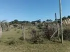 Manz 87 s 3 Muy Buena Ubicación 