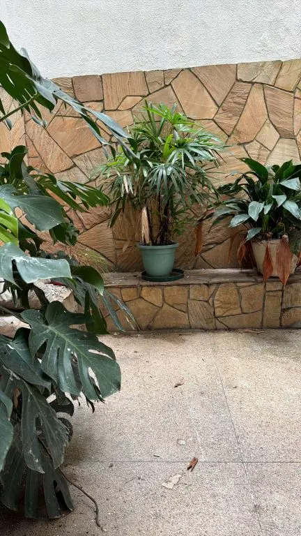 Apartamento 4dormitorios patios Plaza Gomenzoro Rambla Pocitos PCarretas en Montevideo