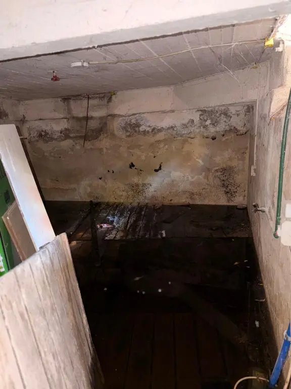 Outros Local en Pocitos esquina Etchevarriarza y Berro en Montevideo