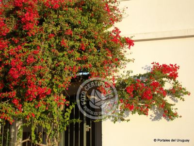 Tip Las historias de Colonia Colonia del Sacramento