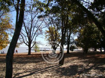Tip Las historias de Colonia Colonia del Sacramento