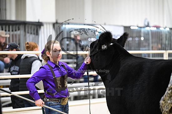 2025 Kansas Beef Expo 