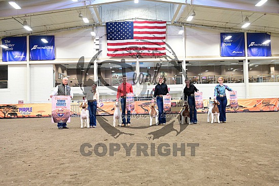 2026 ABGA JABGA National Show