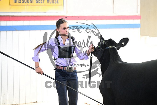 2026 MCA All Breeds Junior Show